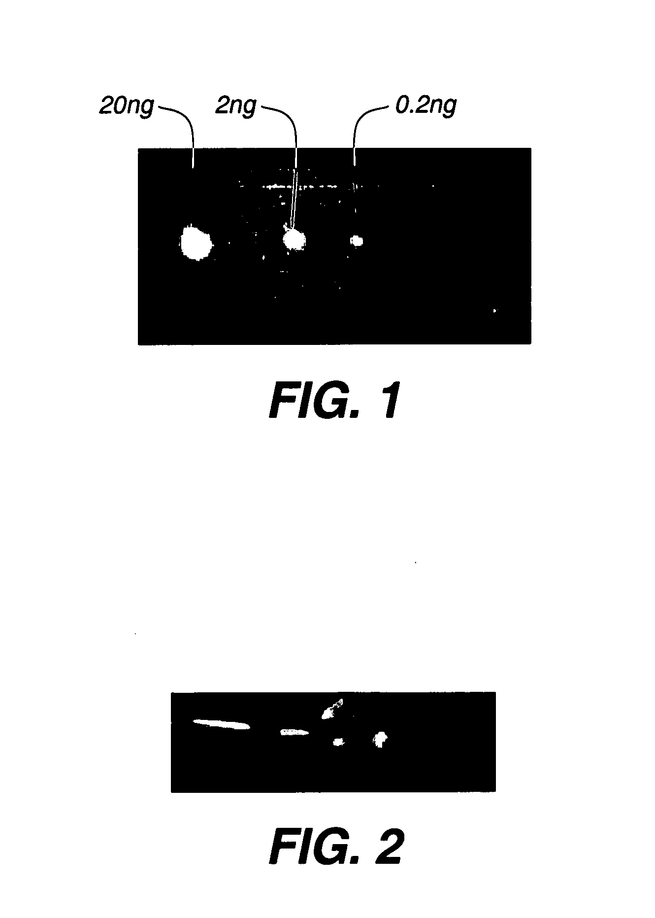 Loaded latex optical molecular imaging probes