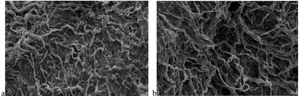 Culture method for composition of periosteal biological scaffold and allogenic seed cells