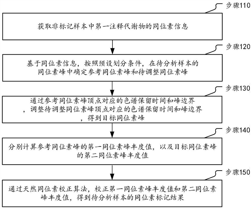 Metabonomics data processing method and device based on stable isotope labeling