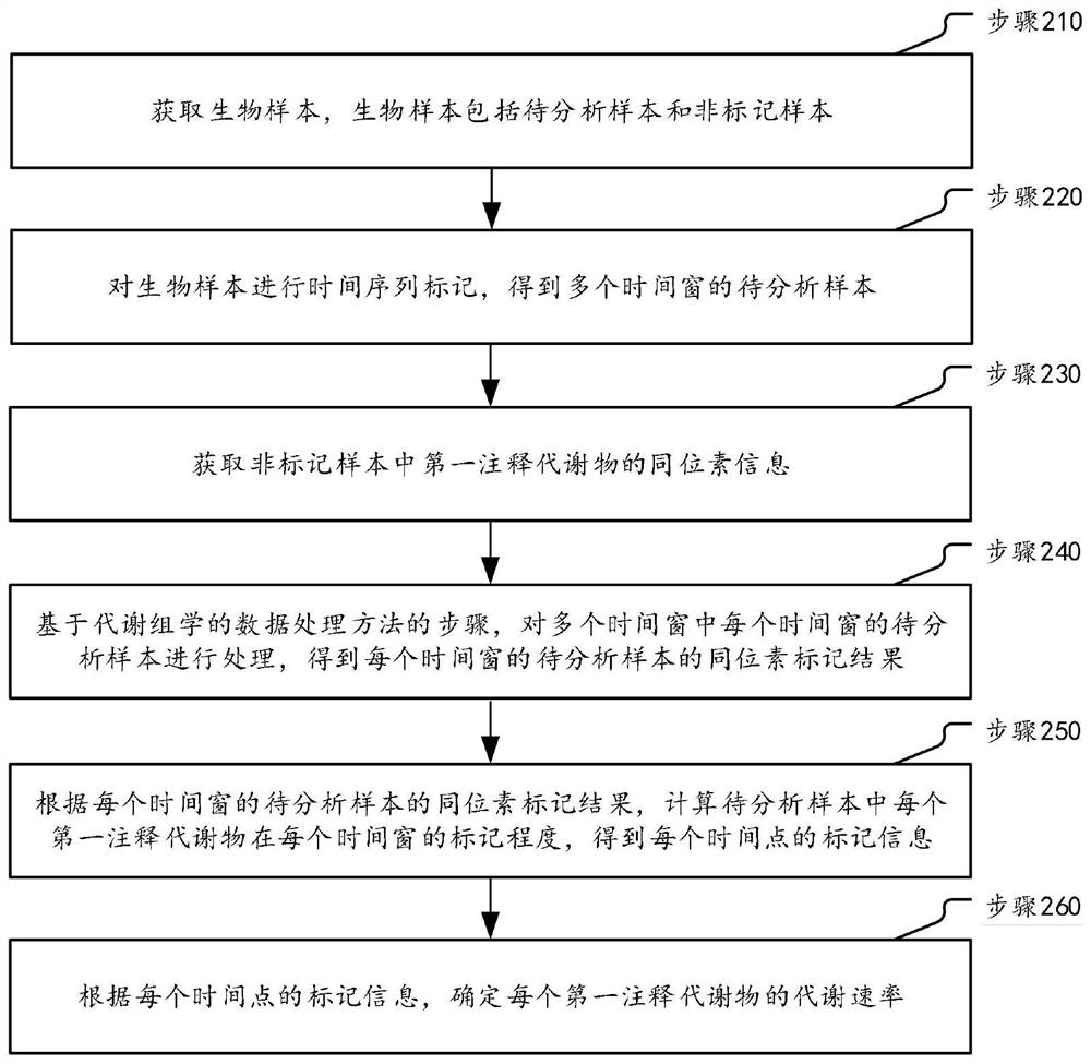 Metabonomics data processing method and device based on stable isotope labeling