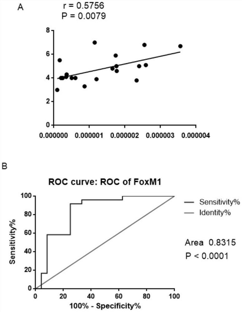 Application of foxm1 in the diagnosis and treatment of intrauterine adhesion disease