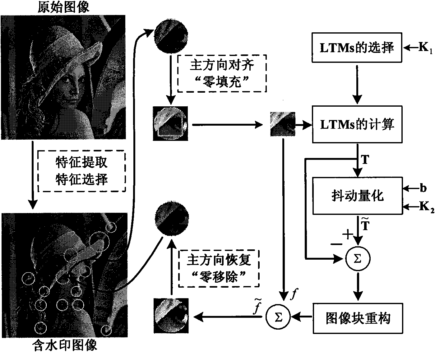 Robust image watermark method based on local Tchebichef moment