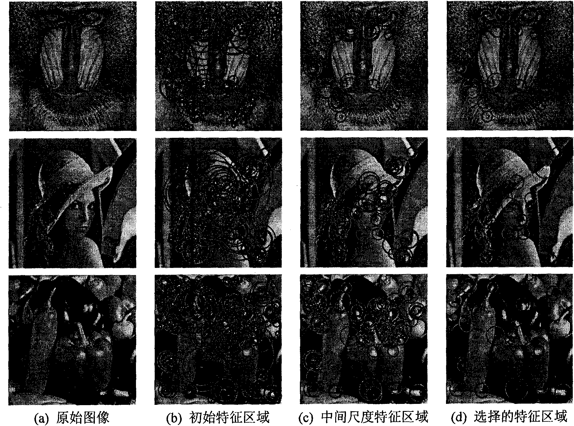 Robust image watermark method based on local Tchebichef moment