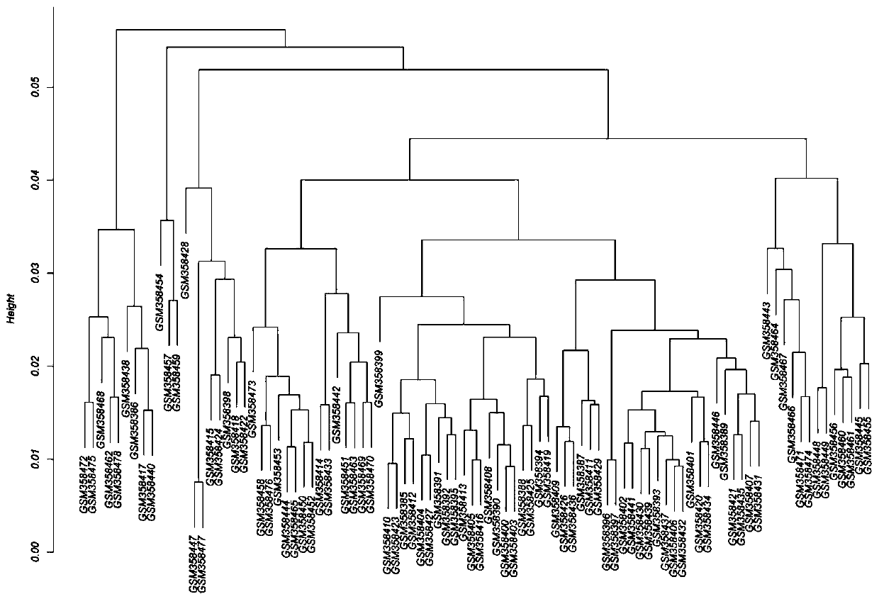 Prognostic marker gene and random survival forest model for predicting recurrence of II-stage colorectal cancer