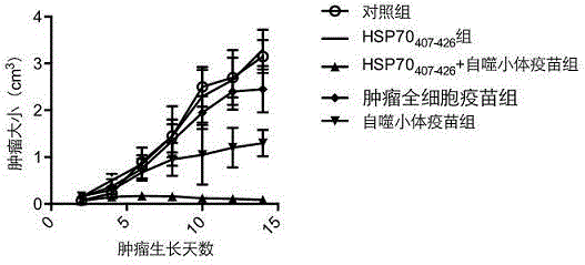 Vaccine adopting subcellular structure and preparation method of vaccine