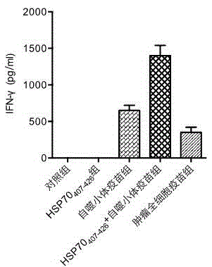 Vaccine adopting subcellular structure and preparation method of vaccine