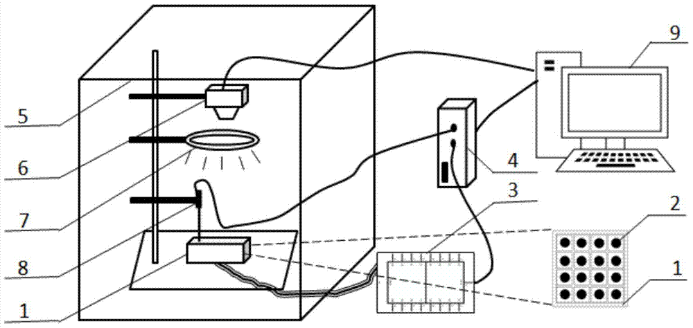 An image-based experimental setup for high-throughput characterization of metal corrosion