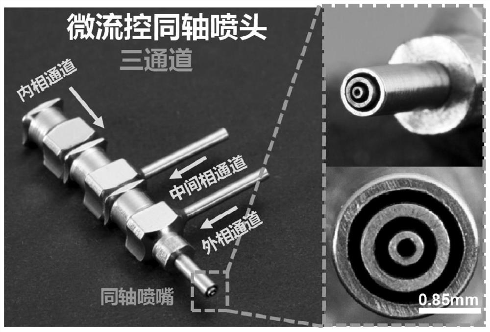 Preparation method of three-dimensional diabetic foot ulcer functional medical dressing