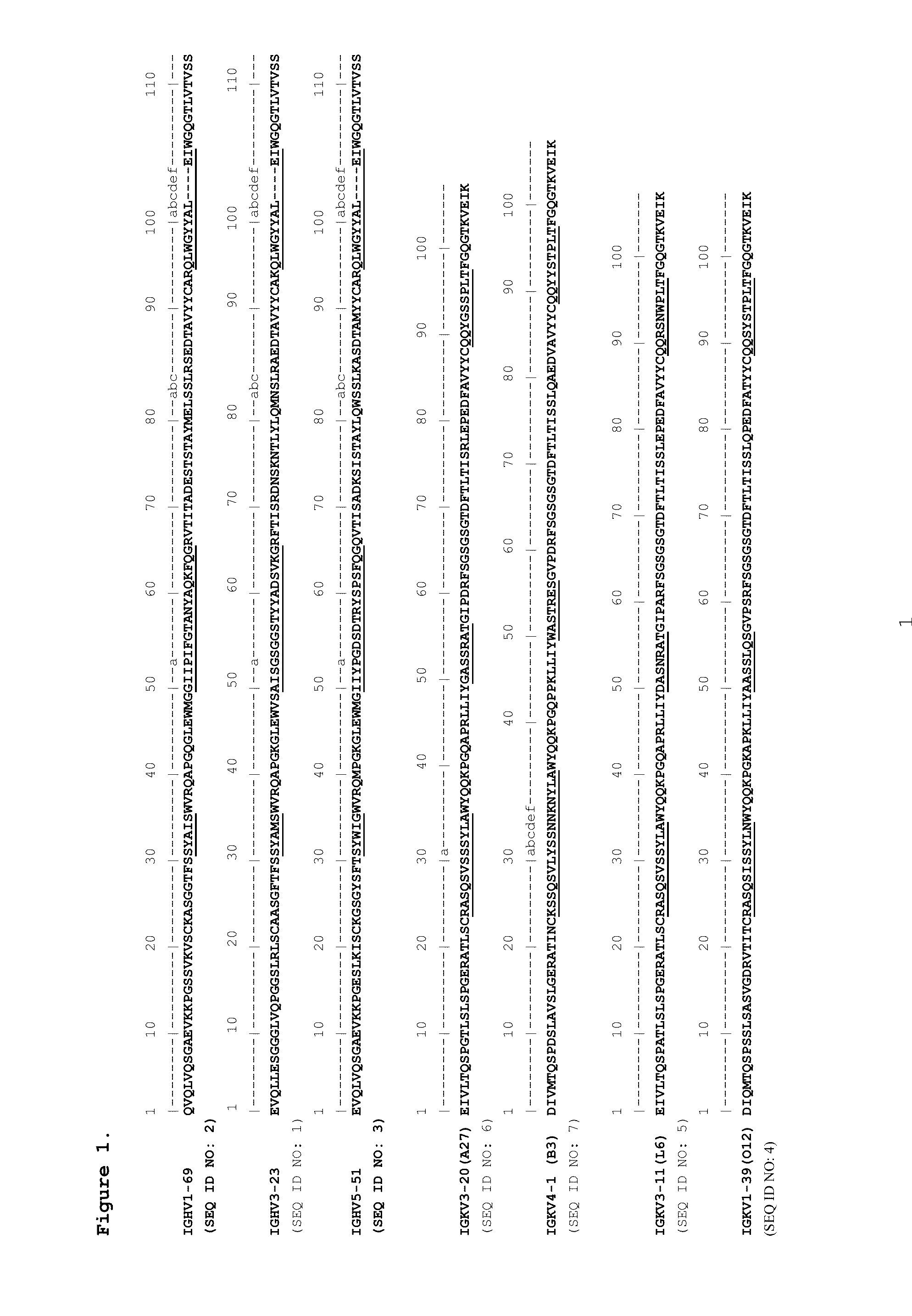 Antibodies binding human collagen II