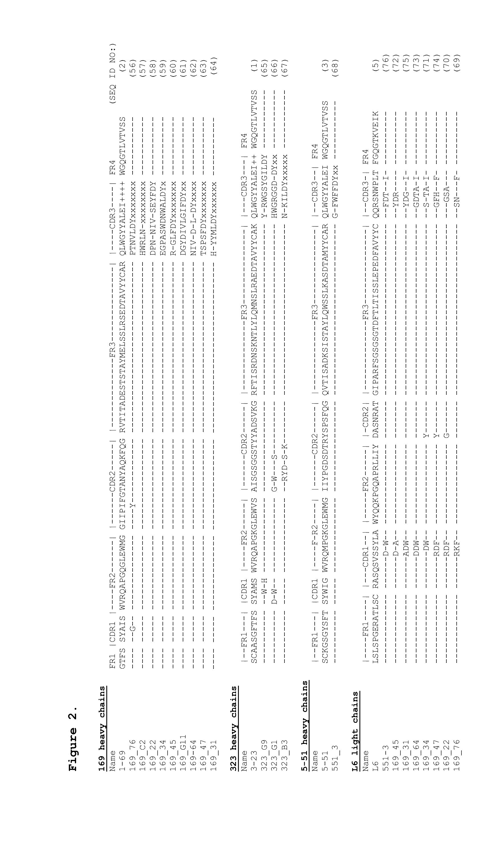 Antibodies binding human collagen II