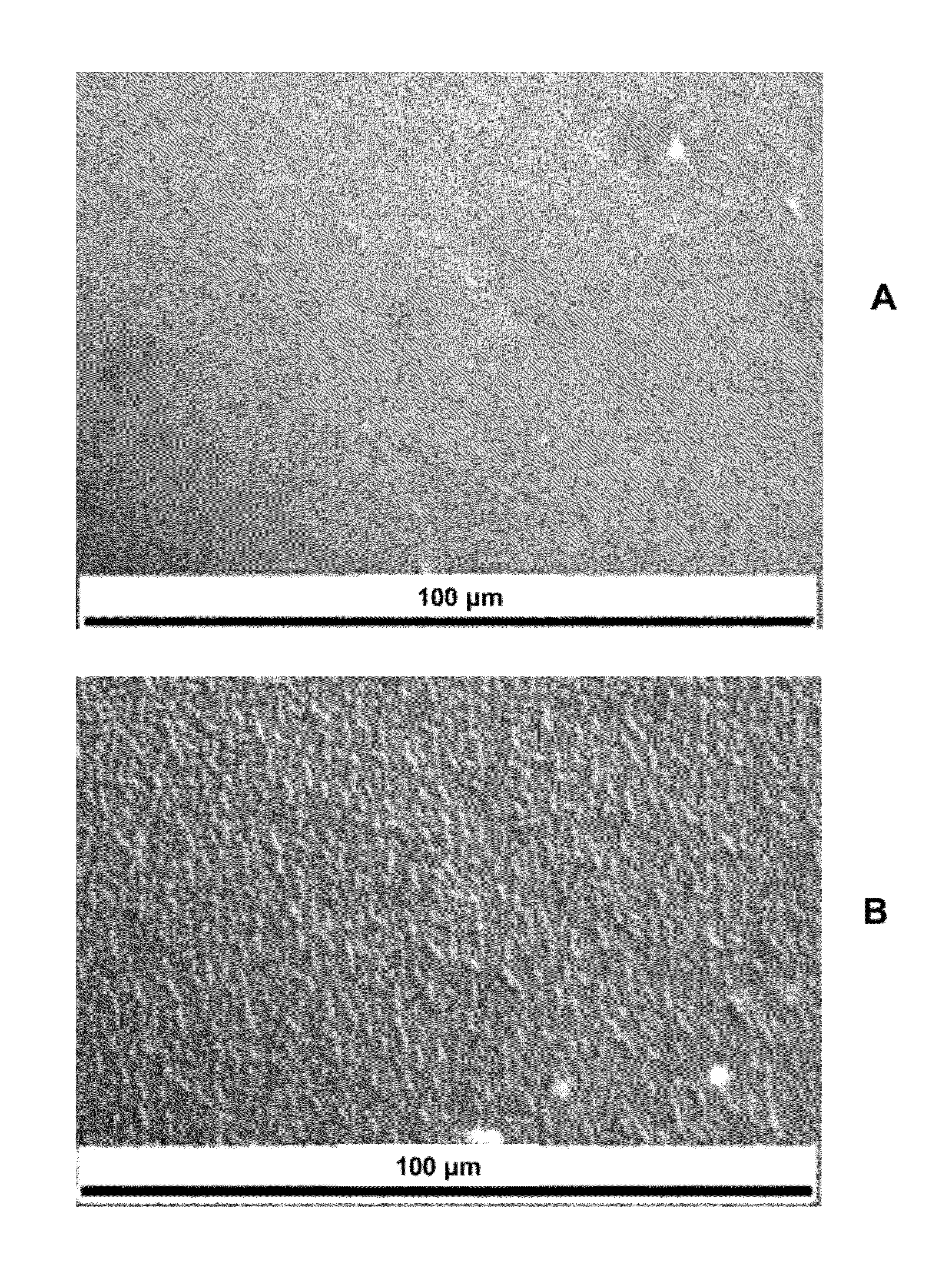 Silicone hydrogel lenses with nano-textured surfaces