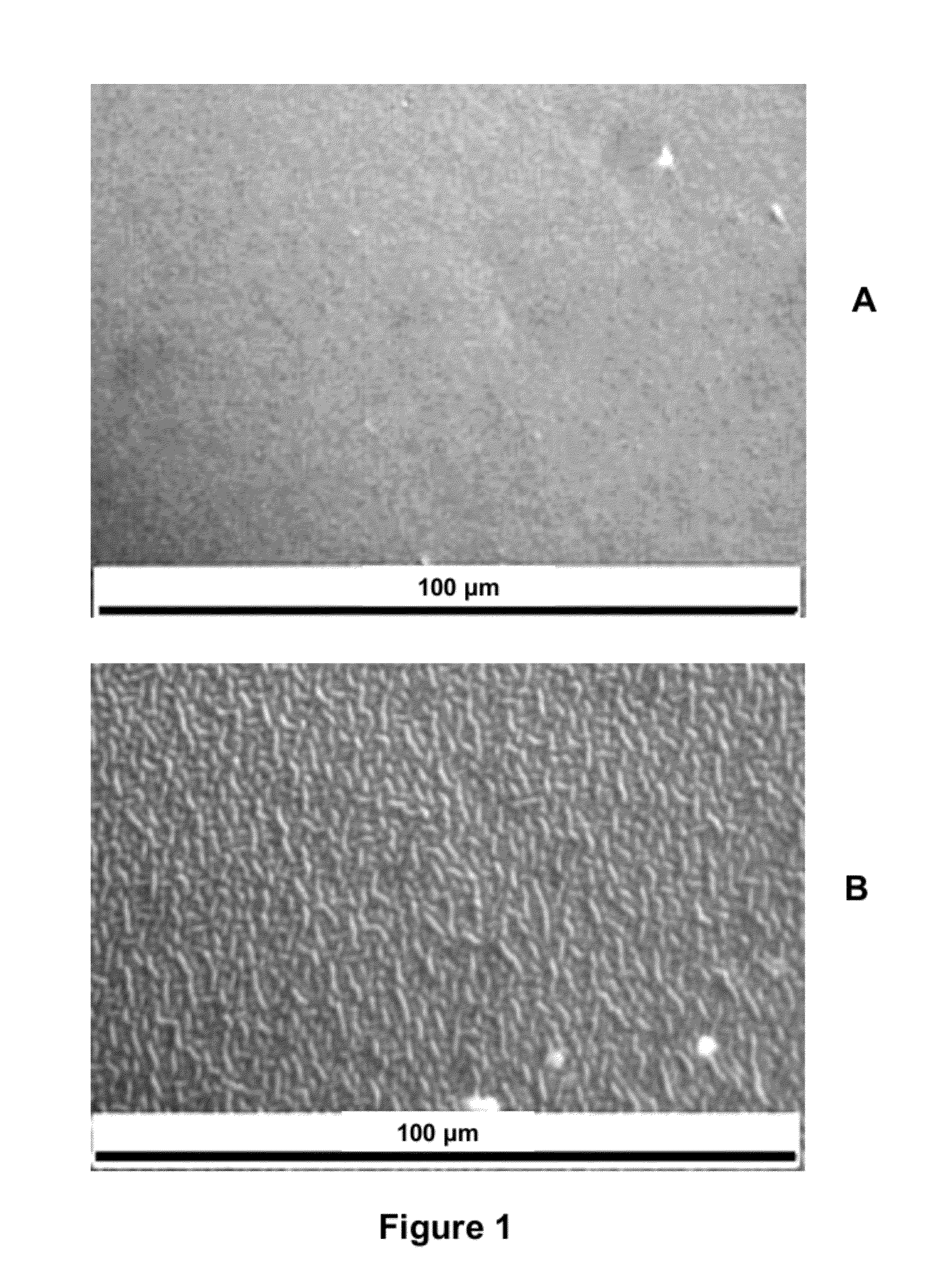 Silicone hydrogel lenses with nano-textured surfaces