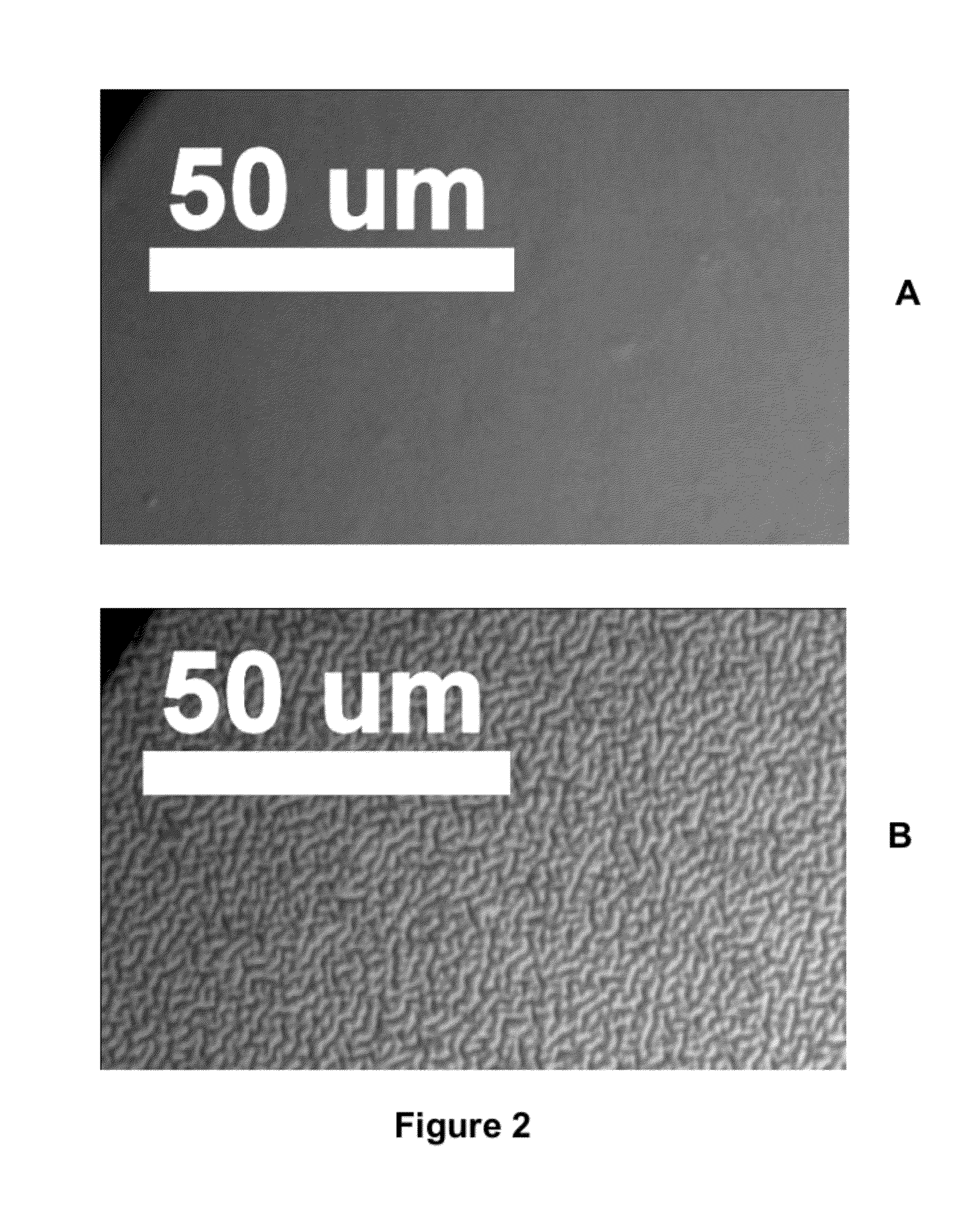 Silicone hydrogel lenses with nano-textured surfaces