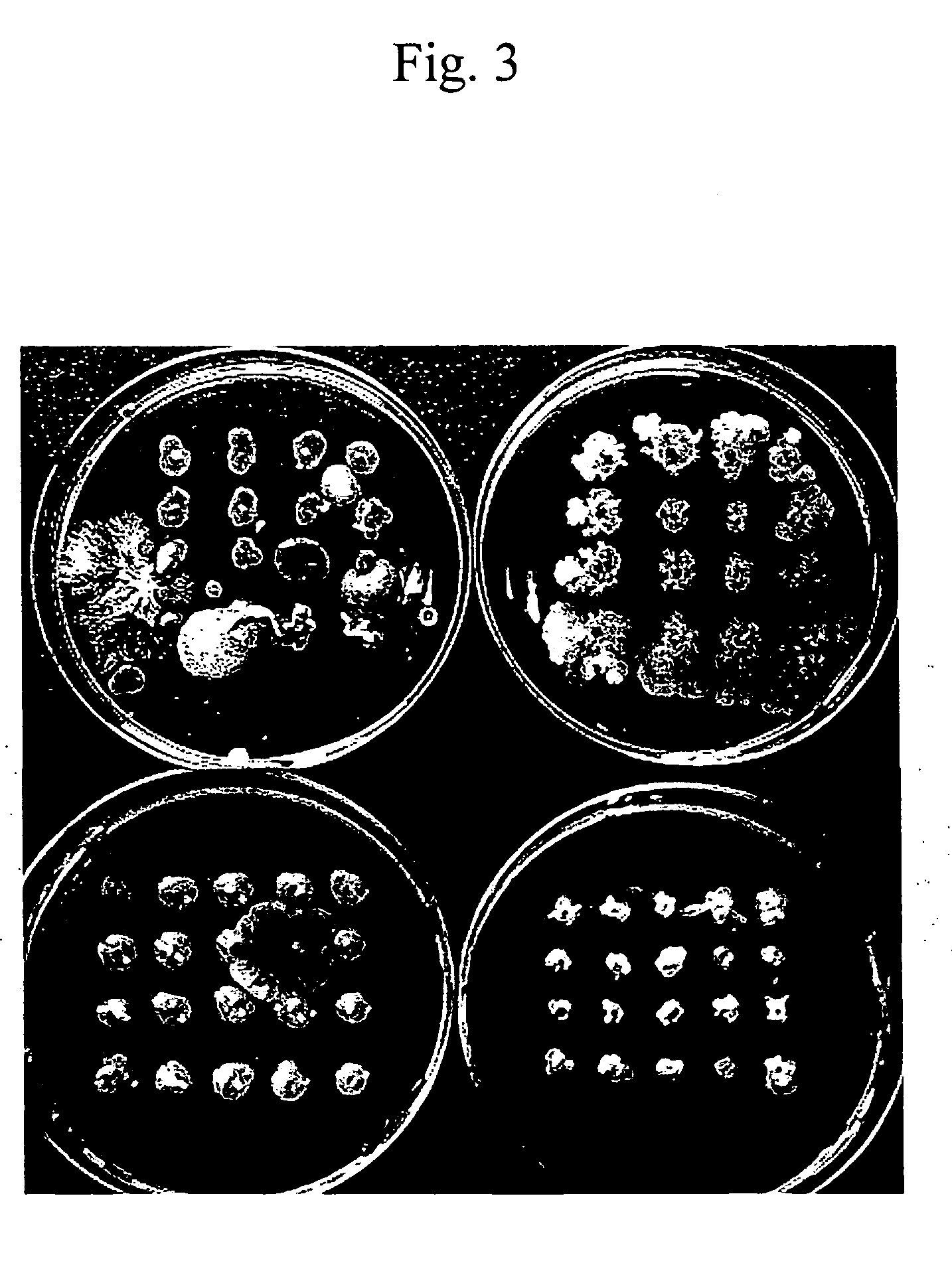 Method and agent for controlling plant disease using bacteria of genus bacillus