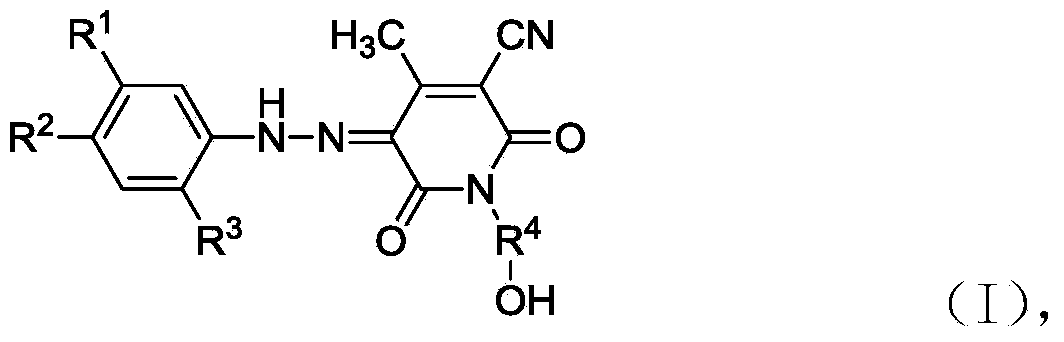 Disperse dye composition, and product and application thereof