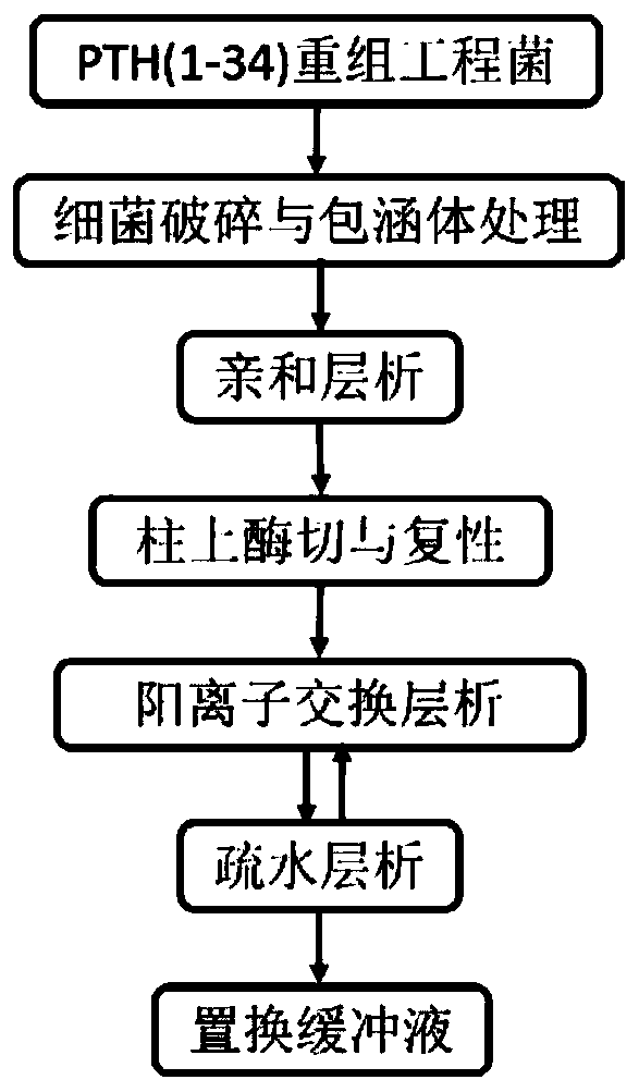 Purification method of recombinant parathyroid hormone PTH (1-34)