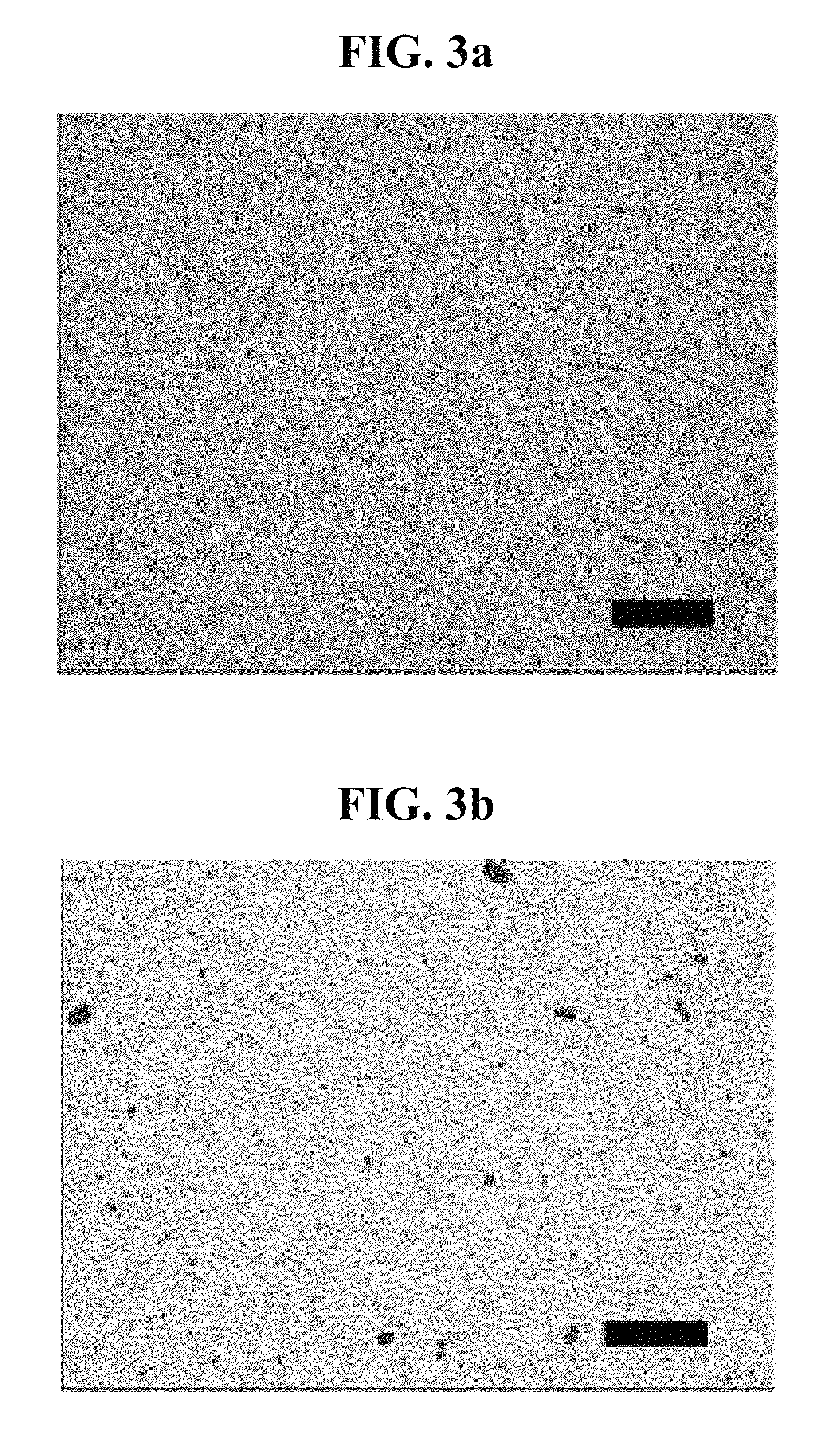 Insulation composition for DC power cable and DC power cable prepared by using the same