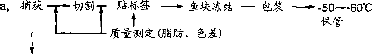 Freezing processing method and processing system for large-type fishes