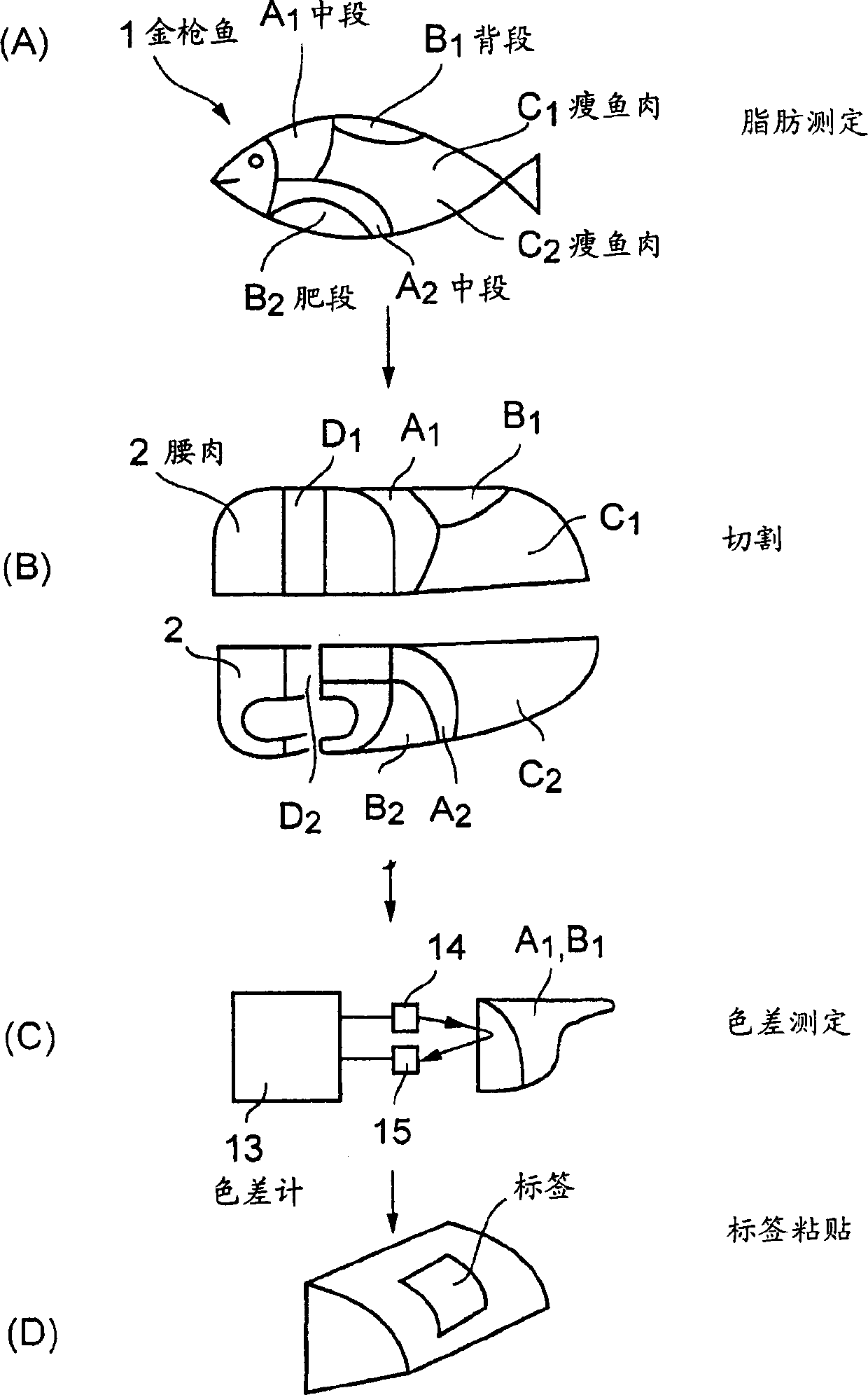 Freezing processing method and processing system for large-type fishes