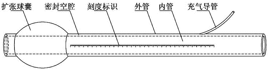 Novel tracheal catheter