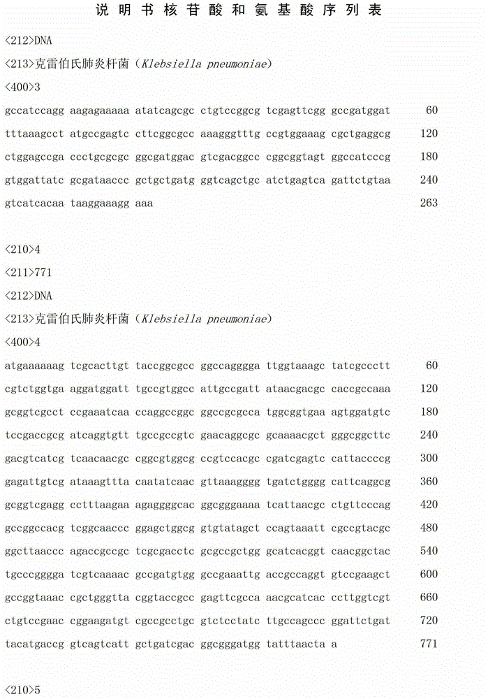 Method for producing r-acetoin by Klebsiella pneumoniae