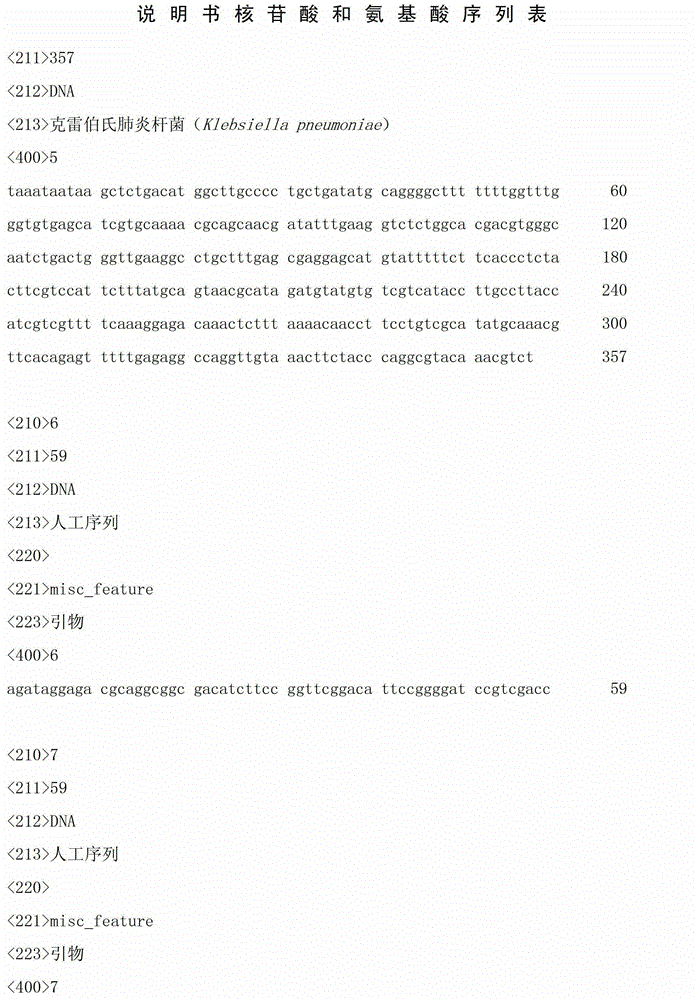 Method for producing r-acetoin by Klebsiella pneumoniae