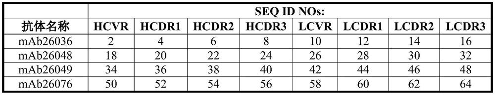 Anti-factor xii/xiia antibodies and uses thereof