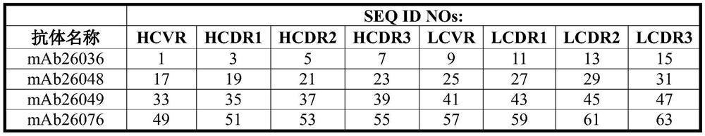 Anti-factor xii/xiia antibodies and uses thereof