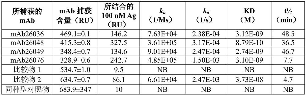 Anti-factor xii/xiia antibodies and uses thereof