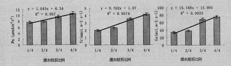 Method for researching partial root drying irrigation technology of woody fruit trees