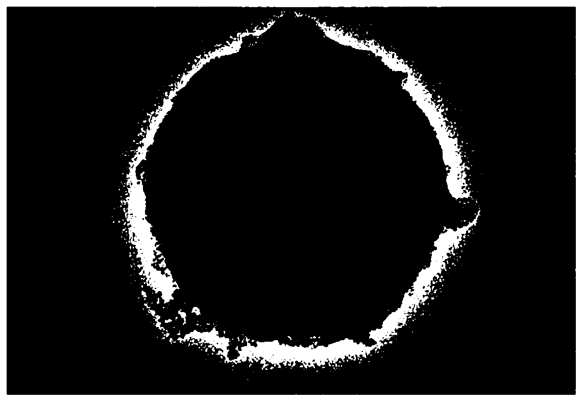 Nanocomposite with nucleus-shell structure based on biological method and preparation method of nanocomposite