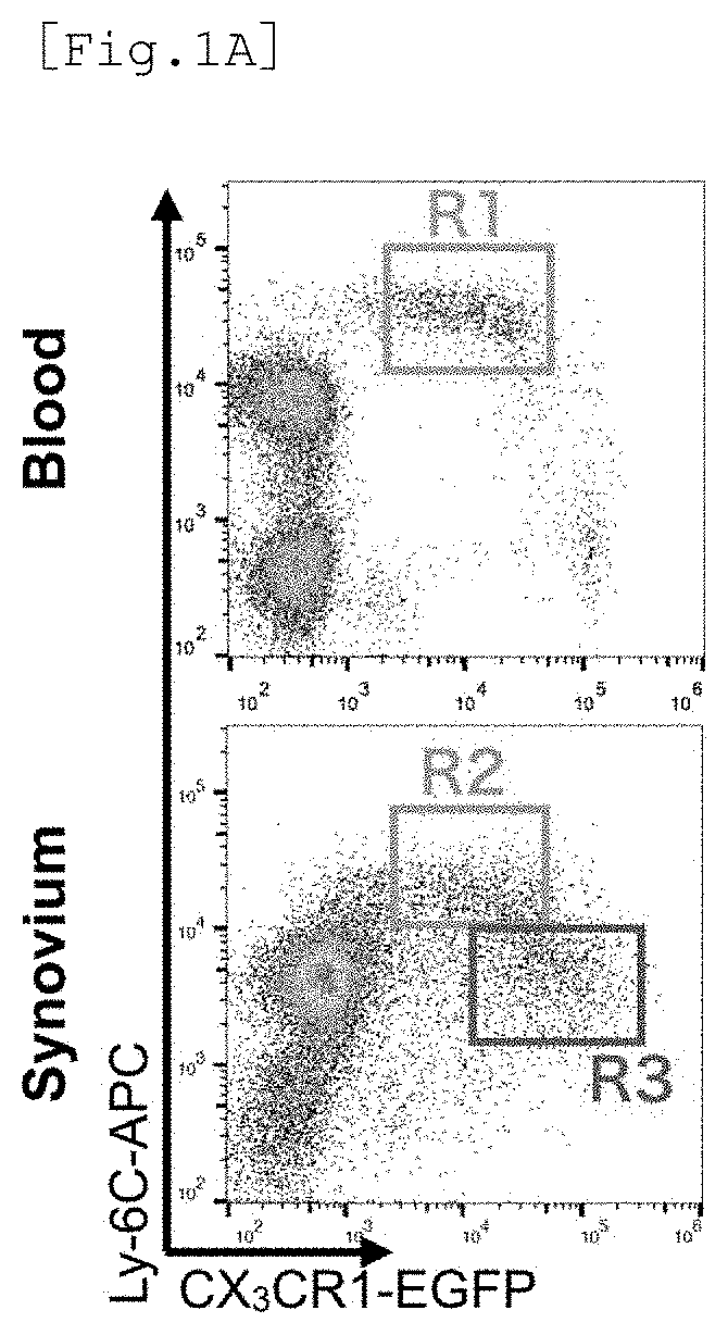 Therapeutic agent for arthritis