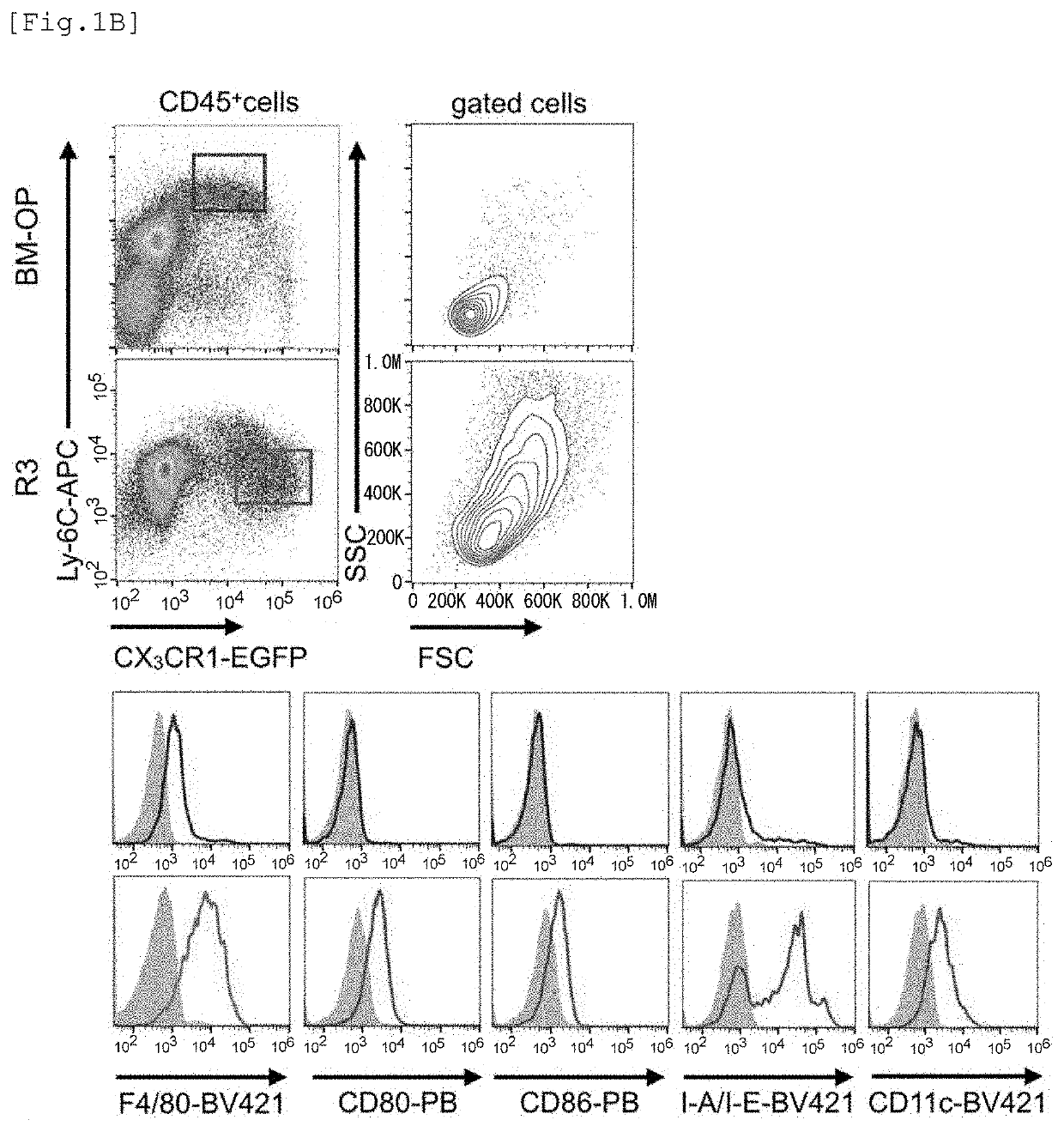 Therapeutic agent for arthritis