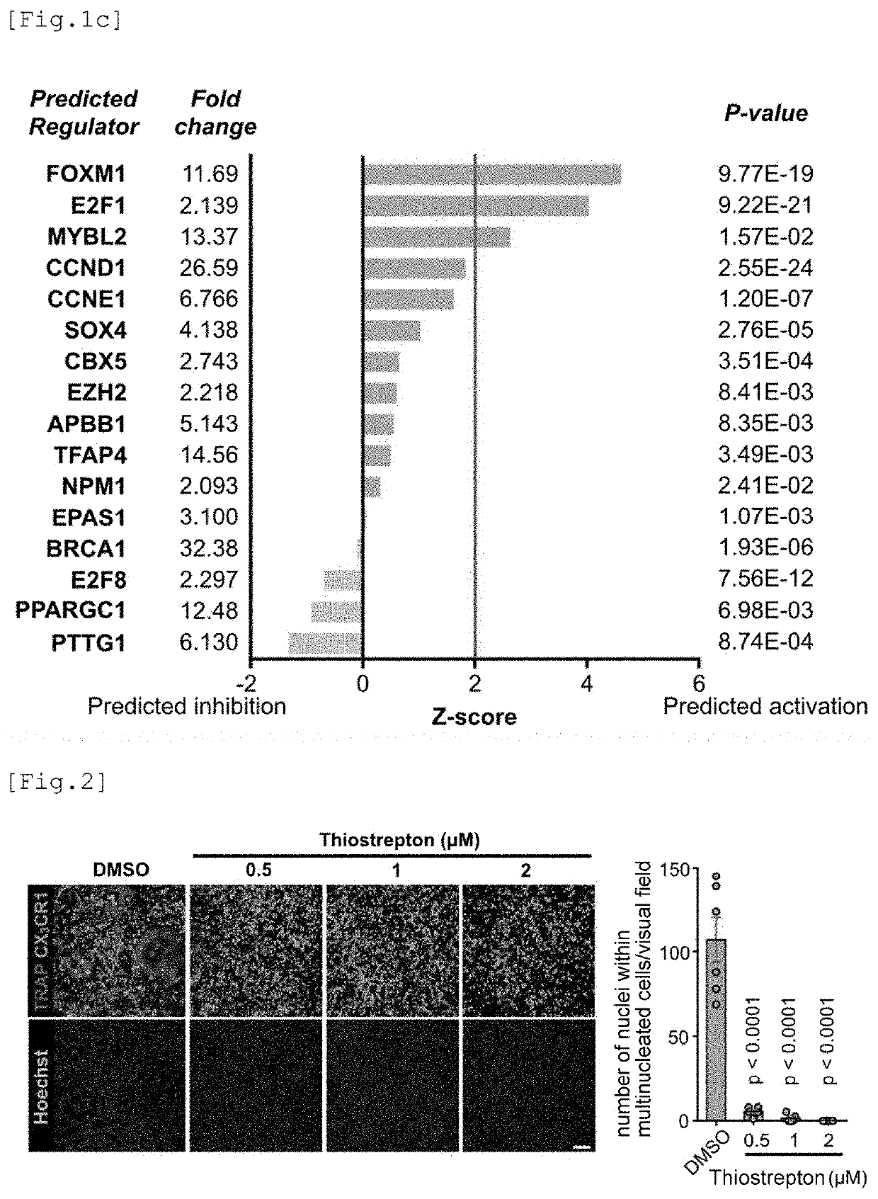 Therapeutic agent for arthritis