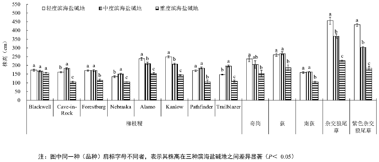 Method for planting energy grass or ornamental grass on coastal saline and alkaline land