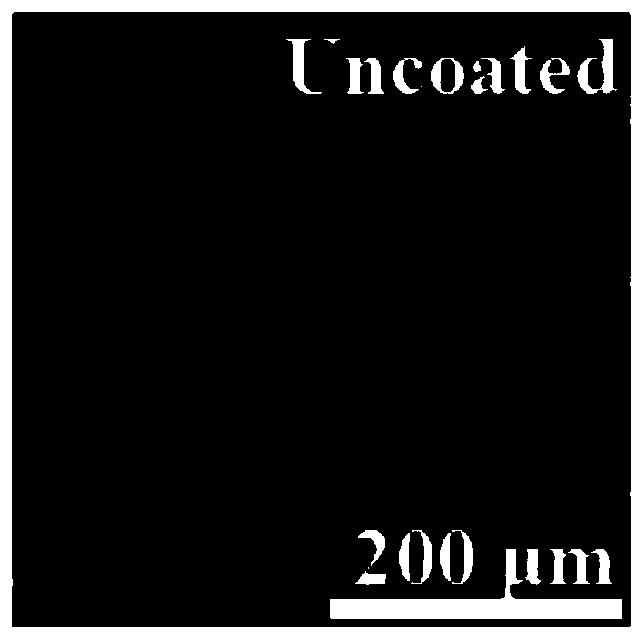 Layer-by-layer self-assembly loaded amphiphilic drug microcapsules and preparation method thereof