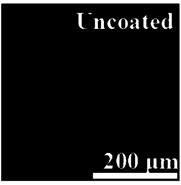 Layer-by-layer self-assembly loaded amphiphilic drug microcapsules and preparation method thereof