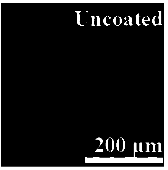 Layer-by-layer self-assembly loaded amphiphilic drug microcapsules and preparation method thereof