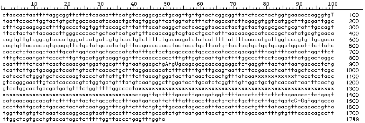 Porcine epidemic diarrhea virus variant strain and inactivated vaccine and application thereof