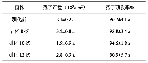 Method for enhancing weeding toxicity of bipolarisgraminus spores