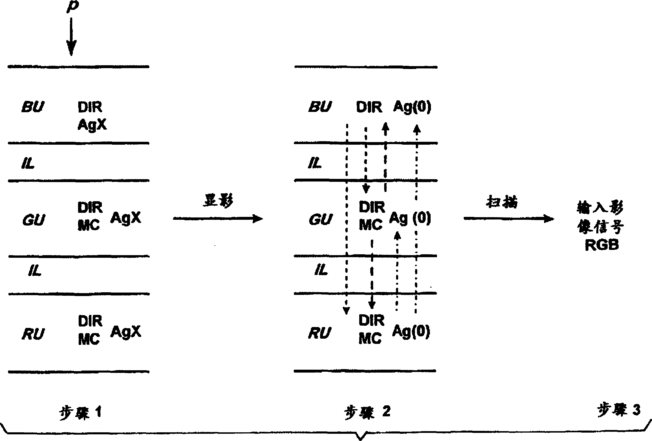 Color negative film element and process for developing