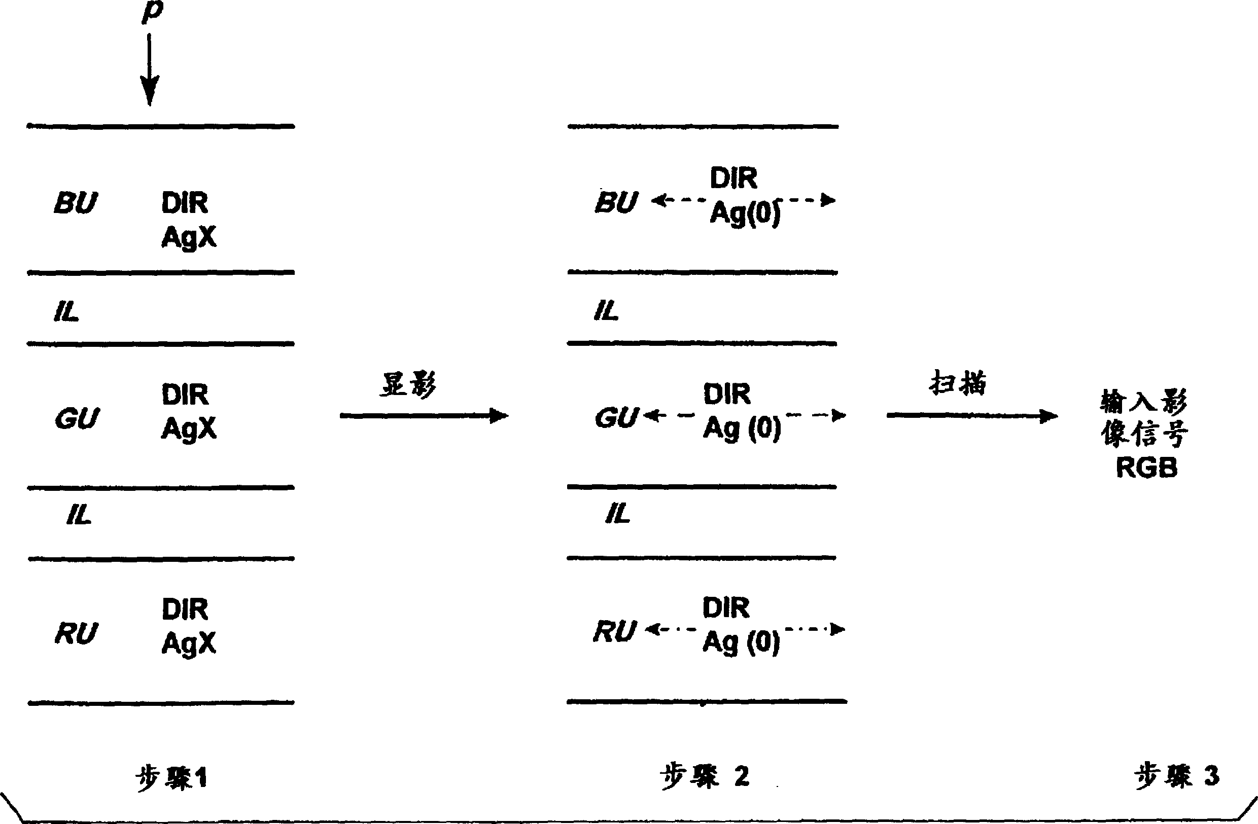 Color negative film element and process for developing