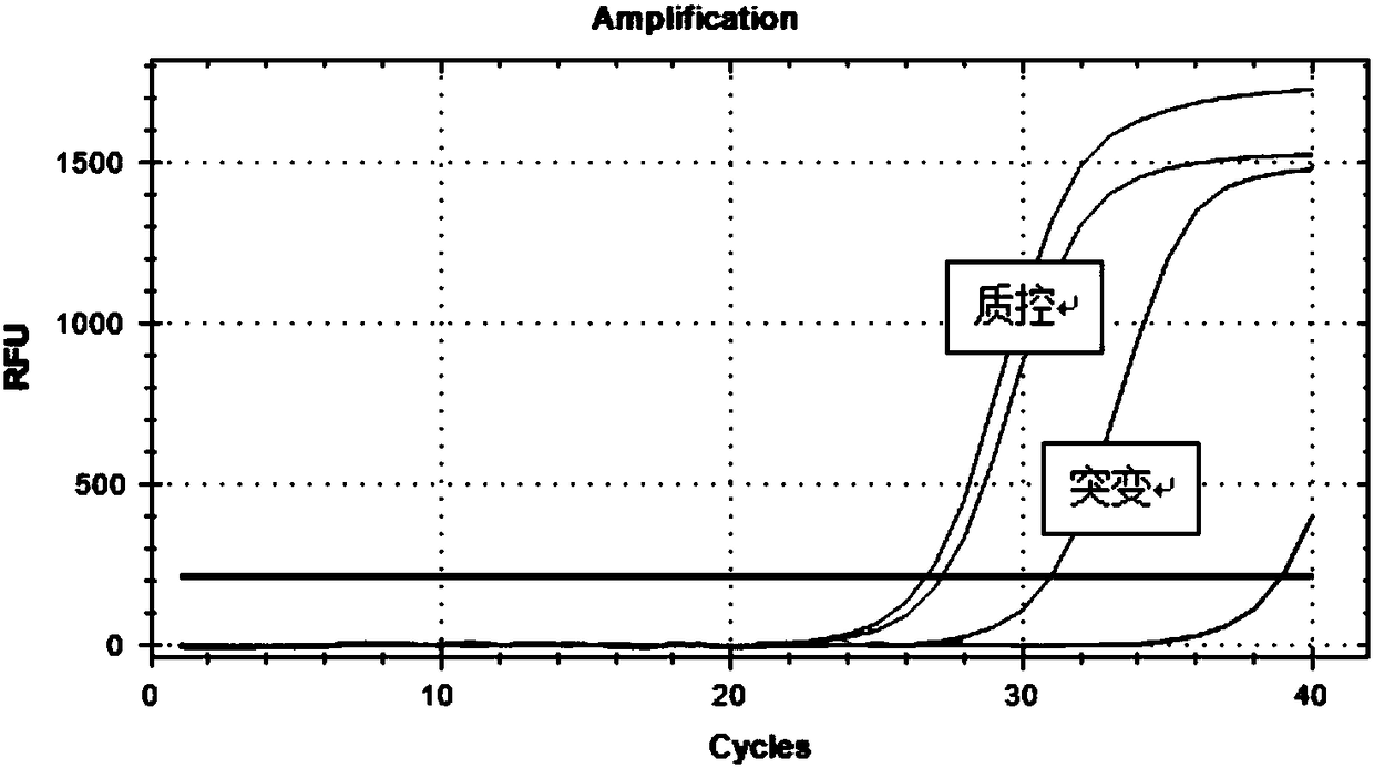 H2 receptor blocking drug efficacy related gene SLC22A1 polymorphism detection kit