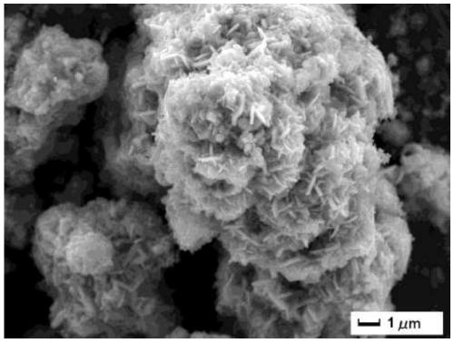 a flower-like fes  <sub>x</sub> Preparation method and application of /c nanocomposite material