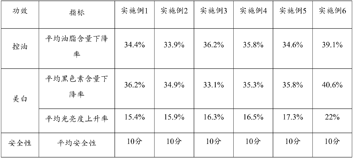 Oil-control whitening skin care product containing mangosteen stem cell extract and preparation method thereof