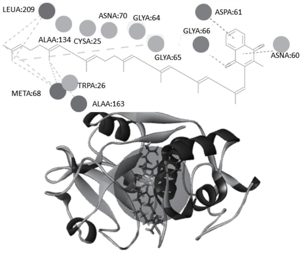 Cathepsin K inhibitor containing naphthoquinone and phenanthrenequinone structures, composition and application thereof