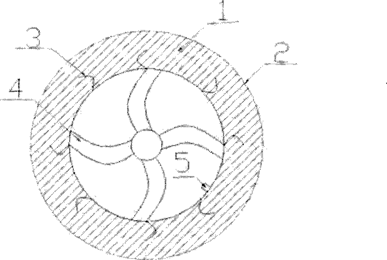 Solid anti-pricked tyre and manufacturing method thereof