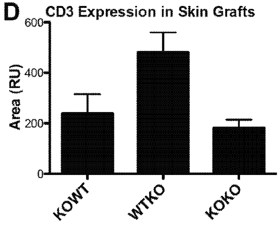 Regulating Transplant Rejection of Donor and Embryonic Stem Cell-Derived Tissues and Organs