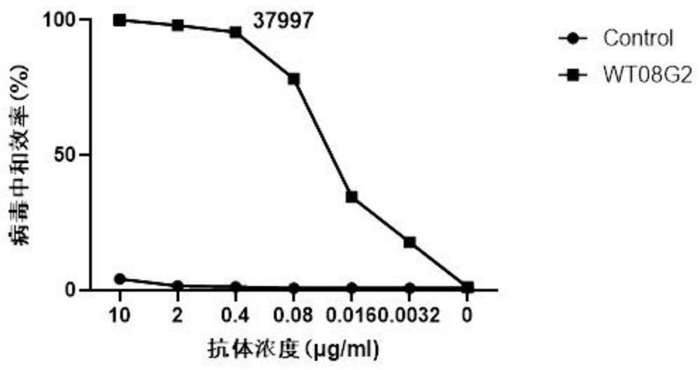 Chikungunya virus E2 protein rabbit monoclonal antibody and application thereof