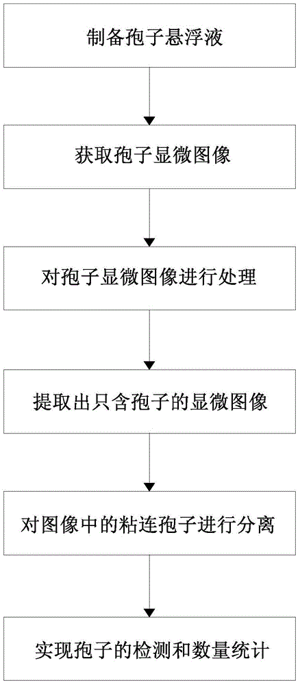 Method for detecting magnaporthe grisea spore based on microscopic image analysis